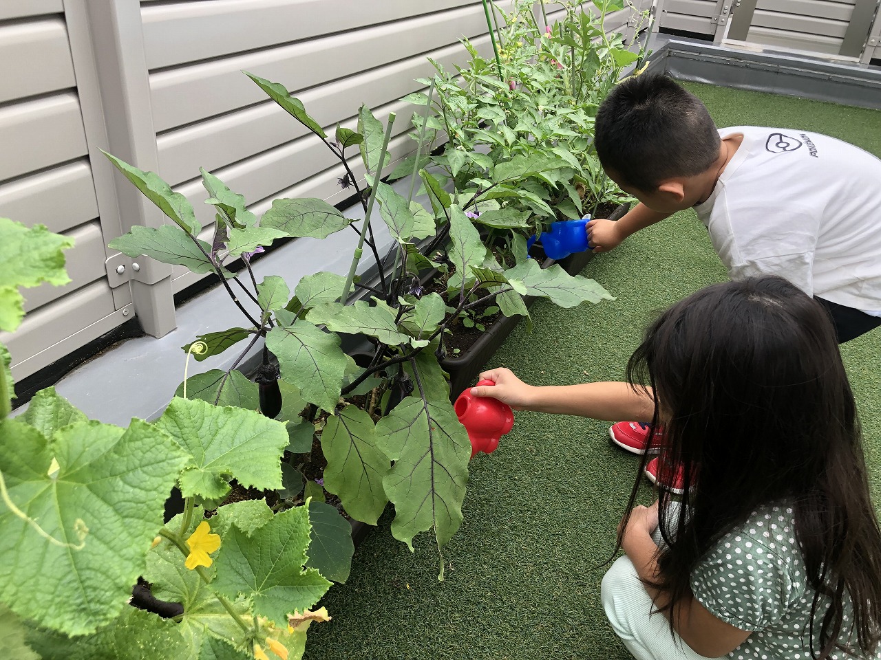 画像：にじいろ保育園蓮根の特徴